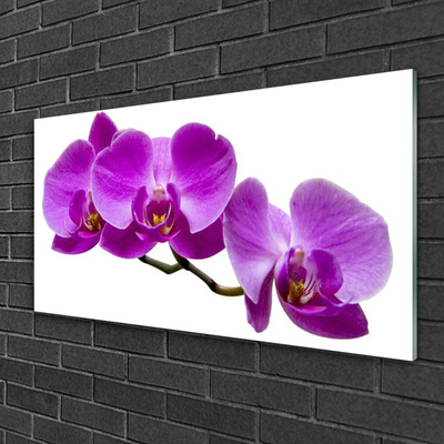 Plexiglas® Wall Art Flowers floral pink