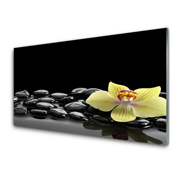 Plexiglas® Wall Art Flower stones kitchen yellow black