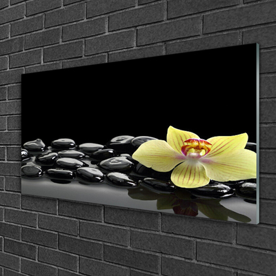 Plexiglas® Wall Art Flower stones kitchen yellow black