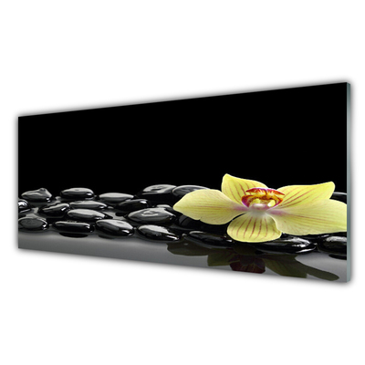 Plexiglas® Wall Art Flower stones kitchen yellow black