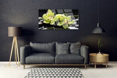 Plexiglas® Wall Art Flower stones floral green black