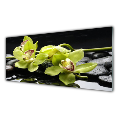 Plexiglas® Wall Art Flower stones floral green black