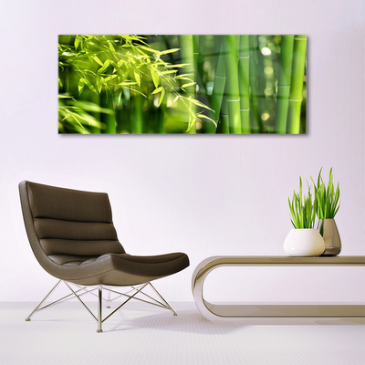 Plexiglas® Wall Art Bamboo leaves floral green