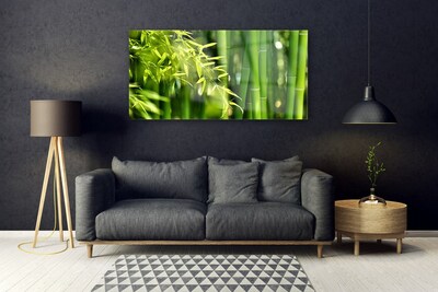 Plexiglas® Wall Art Bamboo leaves floral green