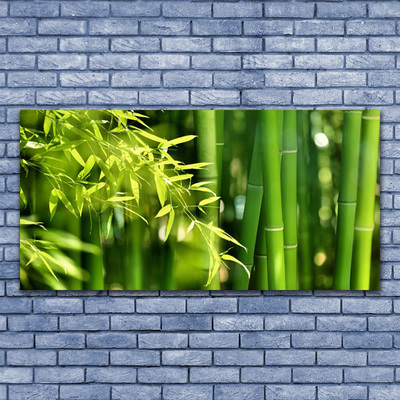 Plexiglas® Wall Art Bamboo leaves floral green