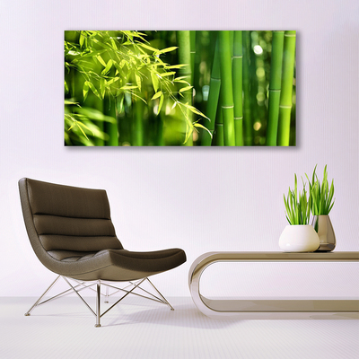 Plexiglas® Wall Art Bamboo leaves floral green