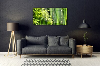 Plexiglas® Wall Art Bamboo leaves floral green