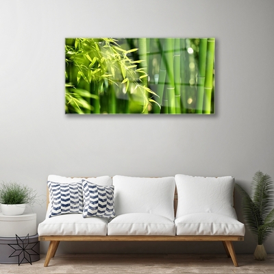 Plexiglas® Wall Art Bamboo leaves floral green