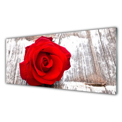 Plexiglas® Wall Art Rose floral red