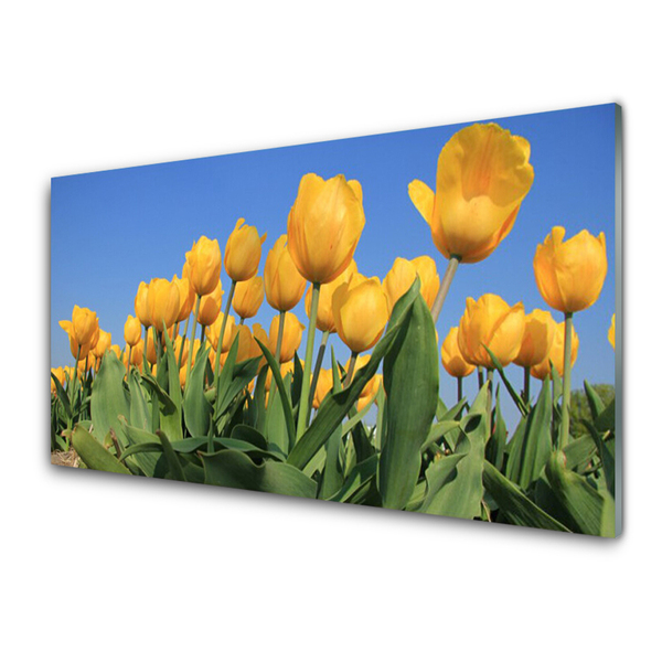 Plexiglas® Wall Art Tulips floral yellow