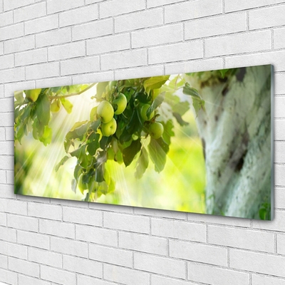 Plexiglas® Wall Art Branch of apples kitchen green brown