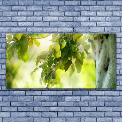 Plexiglas® Wall Art Branch of apples kitchen green brown
