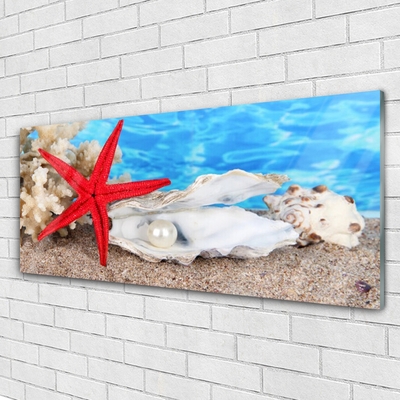 Plexiglas® Wall Art Starfish shells nature red white