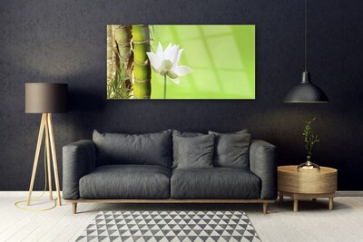 Plexiglas® Wall Art Bamboo stalk flower floral green white