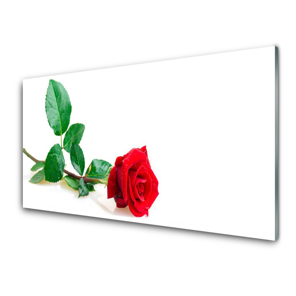 Plexiglas® Wall Art Rose floral red