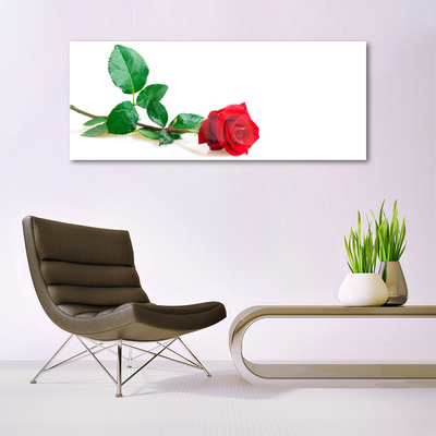 Plexiglas® Wall Art Rose floral red