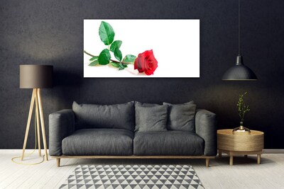 Plexiglas® Wall Art Rose floral red