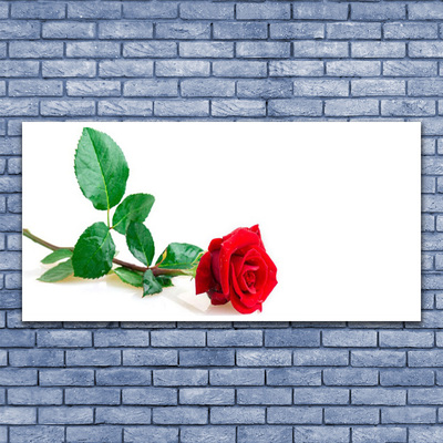 Plexiglas® Wall Art Rose floral red