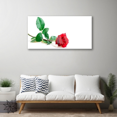 Plexiglas® Wall Art Rose floral red