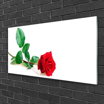 Plexiglas® Wall Art Rose floral red