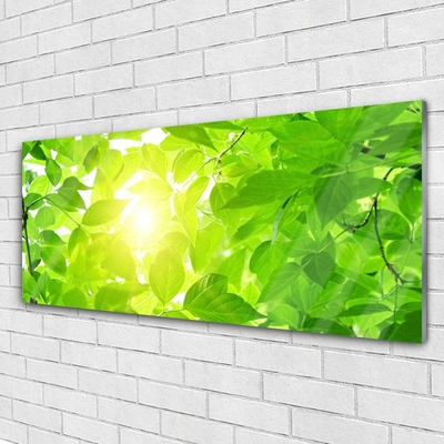 Plexiglas® Wall Art Leaves floral green