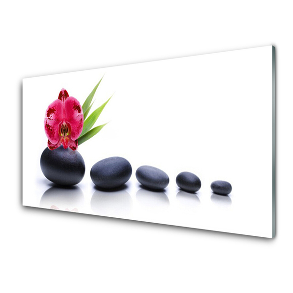 Plexiglas® Wall Art Flower stones art red grey