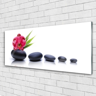 Plexiglas® Wall Art Flower stones art red grey