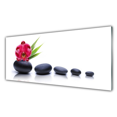 Plexiglas® Wall Art Flower stones art red grey