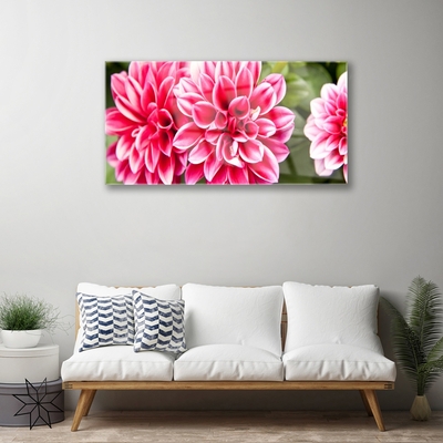 Plexiglas® Wall Art Flowers floral red white