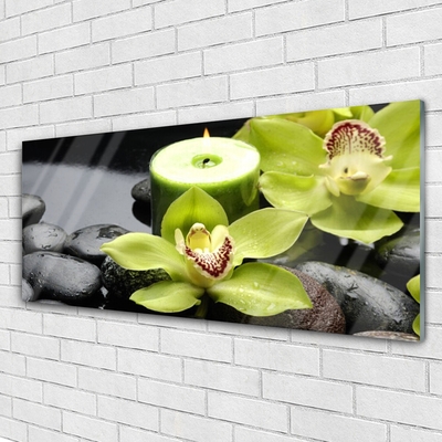 Plexiglas® Wall Art Flower stones floral green black