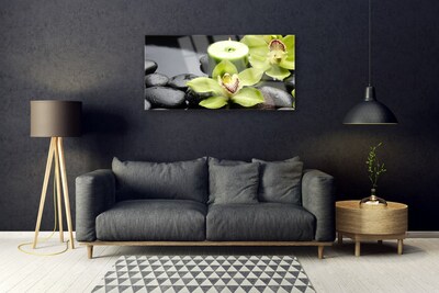 Plexiglas® Wall Art Flower stones floral green black