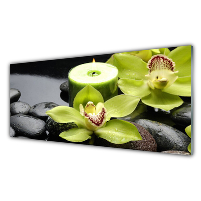 Plexiglas® Wall Art Flower stones floral green black