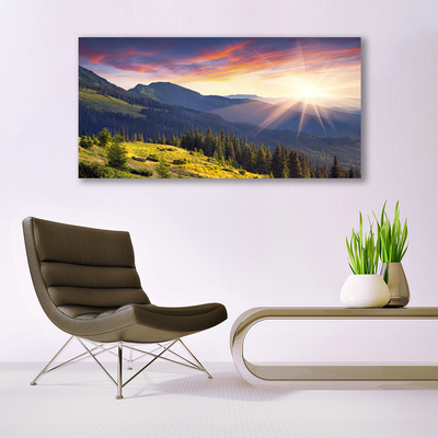 Plexiglas® Wall Art Mountain forest sun landscape blue green yellow