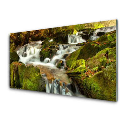 Plexiglas® Wall Art Waterfall rocks nature white green