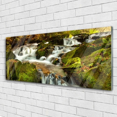 Plexiglas® Wall Art Waterfall rocks nature white green