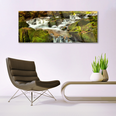 Plexiglas® Wall Art Waterfall rocks nature white green