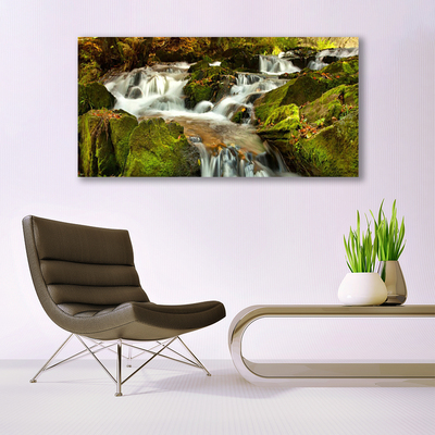 Plexiglas® Wall Art Waterfall rocks nature white green