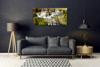 Plexiglas® Wall Art Waterfall rocks nature white green