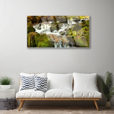 Plexiglas® Wall Art Waterfall rocks nature white green