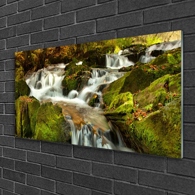 Plexiglas® Wall Art Waterfall rocks nature white green