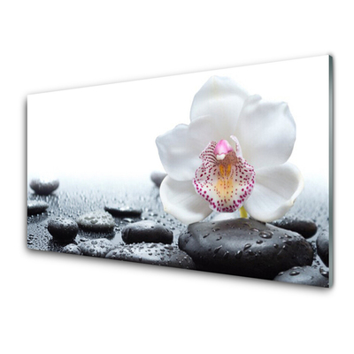 Plexiglas® Wall Art Flower stones art white black