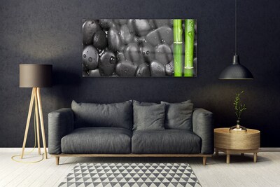 Plexiglas® Wall Art Bamboo stalk stones art green black