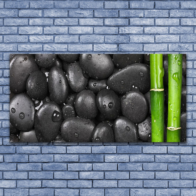 Plexiglas® Wall Art Bamboo stalk stones art green black