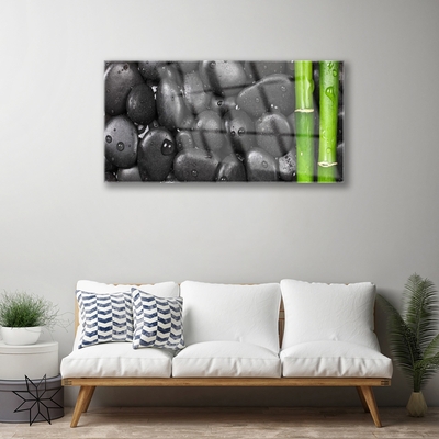 Plexiglas® Wall Art Bamboo stalk stones art green black