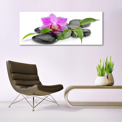 Plexiglas® Wall Art Flower stones art pink black