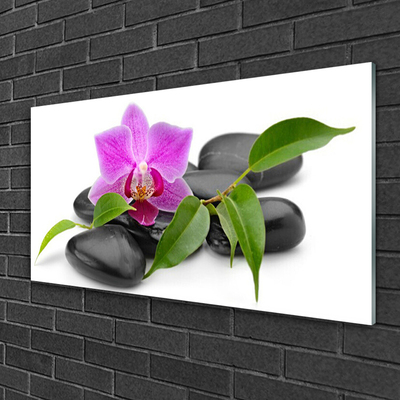 Plexiglas® Wall Art Flower stones art pink black