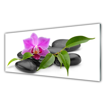 Plexiglas® Wall Art Flower stones art pink black