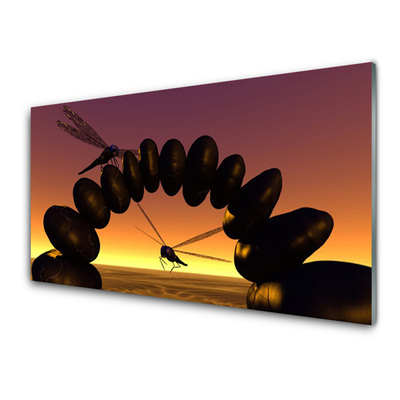 Plexiglas® Wall Art Dragonflies stones art black yellow