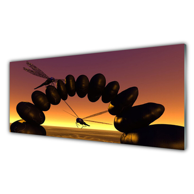 Plexiglas® Wall Art Dragonflies stones art black yellow