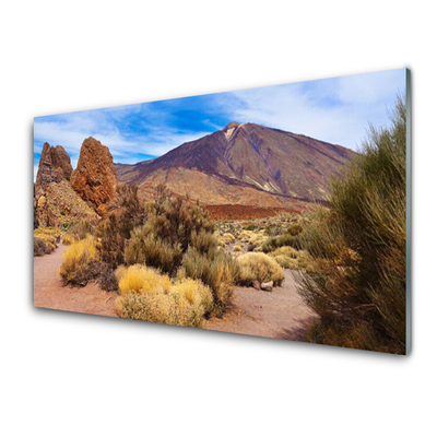 Plexiglas® Wall Art Mountains landscape green yellow brown grey